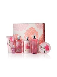 Free Signature Collection Item with Purchase at Bath & Bodyworks + Other Retail Coupons