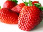 Free Strawberries at Safeway Chain of Grocery Stores