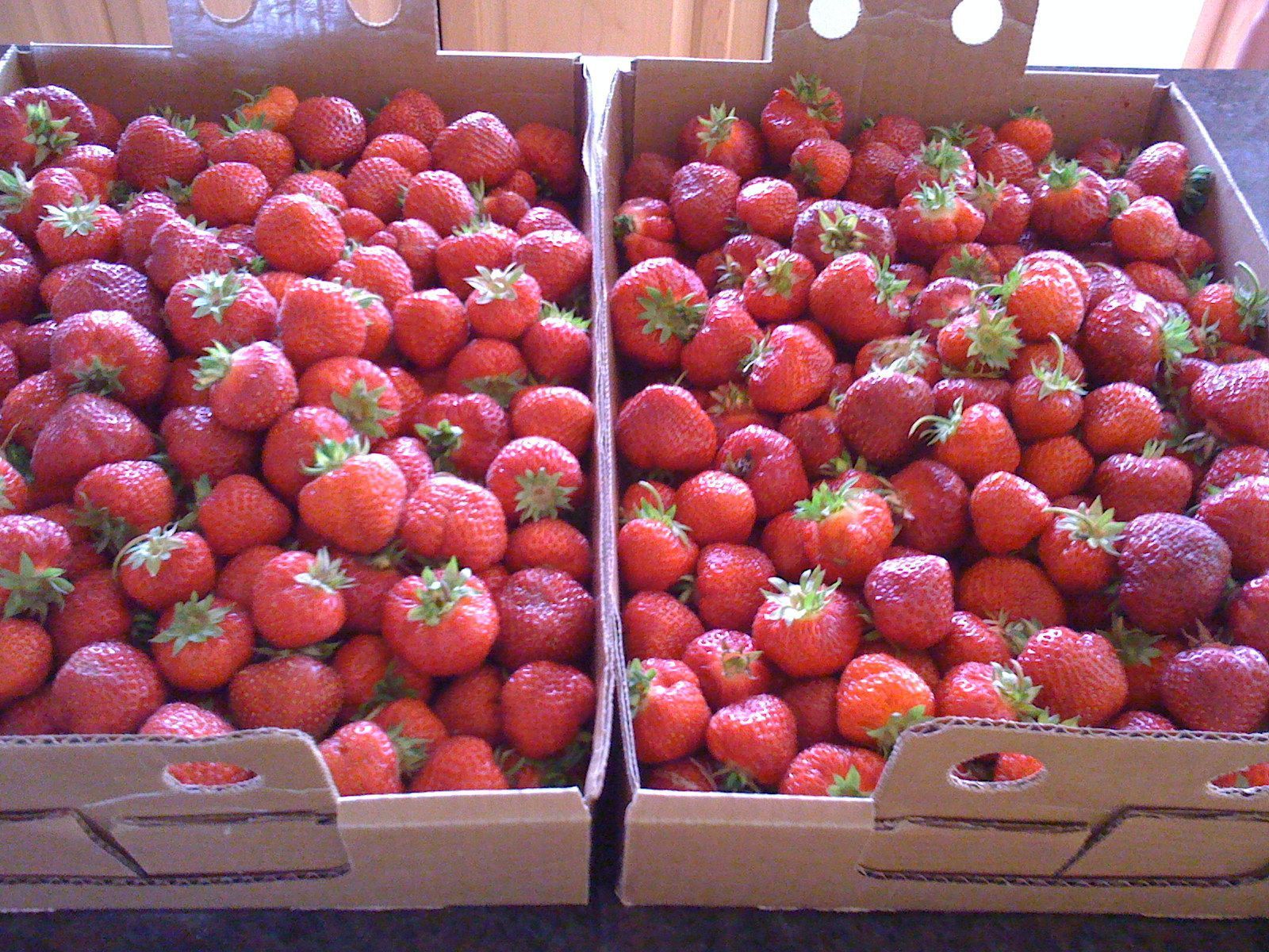 Pick Your Own Strawberries