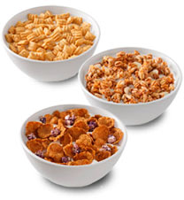 Free Kashi Cereal Sample
