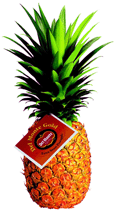 $0.50 off Fresh Pineapple Coupon!