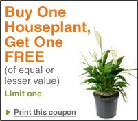 Save Money on Your Gardening Needs with These Deals Save Money on Your Gardening Needs with These Deals