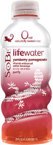 FREE Sobe Life Water at Target