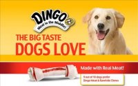 $20 Coupon for Dingo Products
