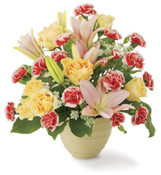 Groupon: American Apparel and Touched by Flowers Groupon: American Apparel and Touched by Flowers
