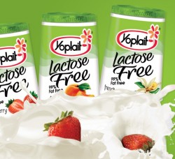 Yoplait Lactose Free Printable Coupons