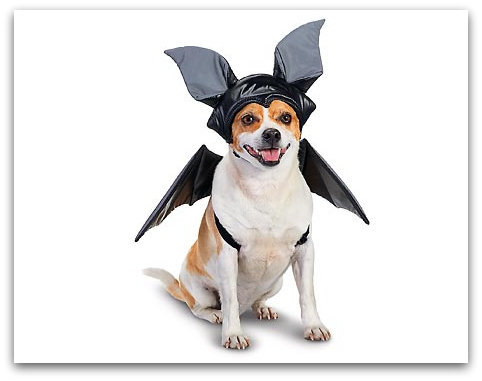 Petco: Save up to 20% on the Howloween Sale