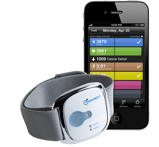 BodyMedia – FIT LINK Armband for $99.99 + Free Shipping