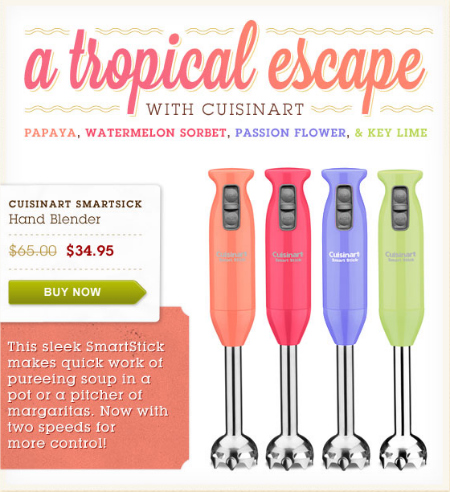 New Tropical Cuisinart SmartStick Hand Blenders for $34.99 (Regularly $65)