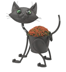 cat planter