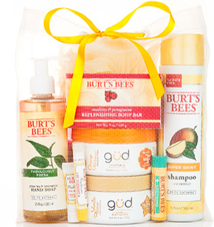 Burt’s Bees Summer Grab Bag for $25 (includes 11 Full Size Products)