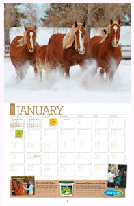 go.farnamhorse.com Calendar source nationalad