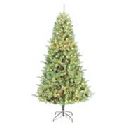 7-ft. Douglas Fir Pre-Lit Christmas Tree 1000 Tips Just $92 (Normally $230!)