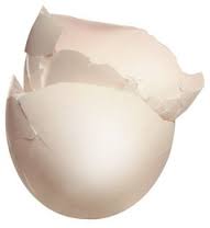 uses for eggshells