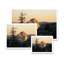 FREE 16×20 Photo Print or Address Labels! (Last Day)