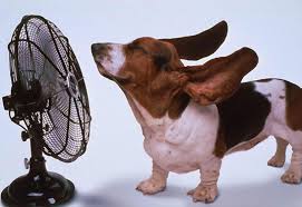 Cut Air Conditioning Costs and Still Stay Cool!