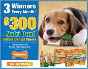 WIN $300 Worth of Nutri Dent Edible Chews for Your Pup!