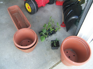 Container Gardening for Free