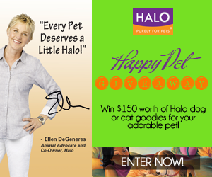 Halo Happy Pet Giveaway: $150 Worth of Halo Dog or Cat Goodies