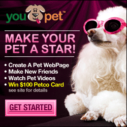 Create a Social Network Page for Your Pet and Win!