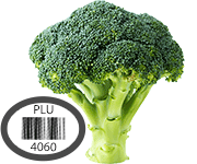 NEW Saving Star Offer: Save 20% On Broccoli!