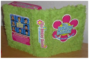 Complete Series of The Brady Bunch With Shag Carpet Cover Just $53.83