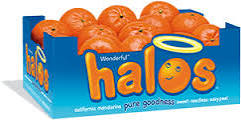 *RARE* Wonderful Halos Coupon Available to Print!