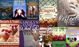 FREE Kindle eBook Roundup for 2/26/14