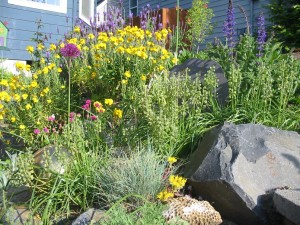 Ideas for Saving Money on Landscaping