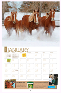 FREE 2014 Horse Calendar