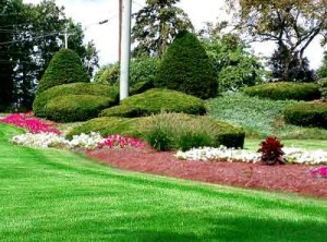 How Thrifty People Save Money on Landscaping
