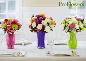 $30 to Spend at ProFlowers For Just $13!