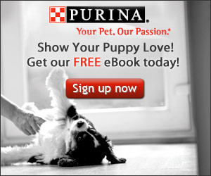 FREE Purina Puppy Care ebook