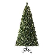 50% Off Christmas Trees | 7′ From $89.99!