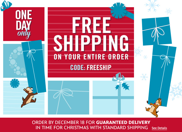FREE Shipping at the Disney Store Today! $10 Fleece Blankets!
