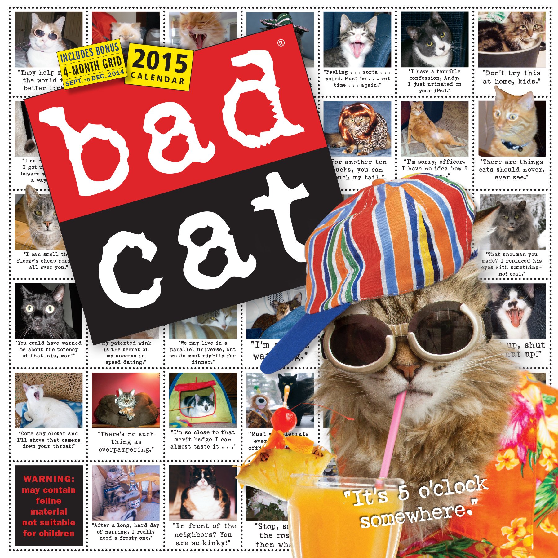 2015 Bad Cat Calendar Only $3.49!