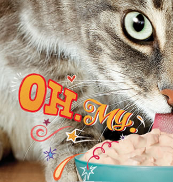 Buy One, Get One Free Coupon for Friskies® SauceSations!