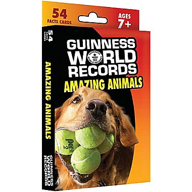 Guinness World Records Learning Cards Only $1.99 Shipped!