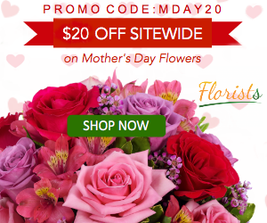 Save $20 on Flowers | Bouquets From $15!