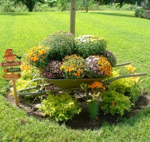 Wheelbarrow Planter