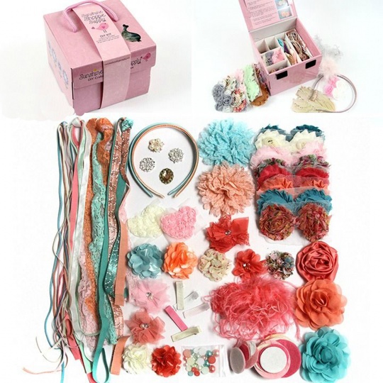 DIY Accessory Kits with Carry/Storage Case $19.99