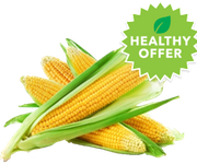 Save 20% on Fresh Corn!