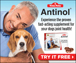 Vetz Petz™ Antinol® – FREE 14 Day Supply