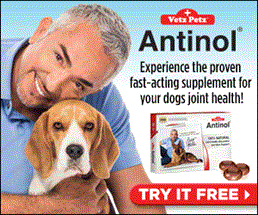 Vetz Petz™ Antinol® – FREE 14 Day Supply Vetz Petz™ Antinol® – FREE 14 Day Supply