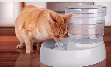 Animal Planet Automatic-Flow Pet Water Fountain $19.99