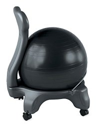 Today Only! Gaiam Balance Ball Chairs $59.99!