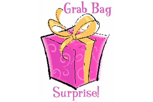 Pick Your Plum – Accessories Surprise Mystery Bag – $10.00!