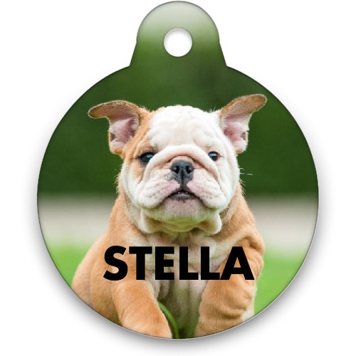 FREE Custom Pet Tag From Shutterfly! *NEW CUSTOMERS*