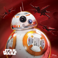 Star Wars Collection up to 50% off!