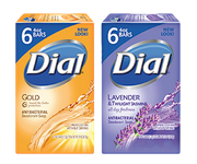 DOLLAR GENERAL: Dial Soap 6-ct Only $1.75! (29¢ per bar)